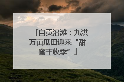自贡沿滩：九洪万亩瓜田迎来“甜蜜丰收季”