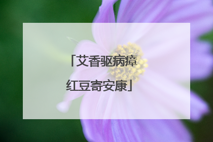 艾香驱病瘴 红豆寄安康