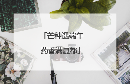 芒种遇端午 药香满夏都