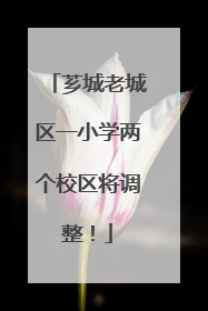 芗城老城区一小学两个校区将调整！