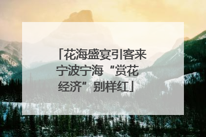 花海盛宴引客来 宁波宁海“赏花经济”别样红