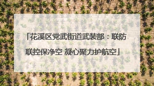 花溪区党武街道武装部：联防联控保净空 凝心聚力护航空