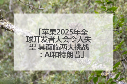 苹果2025年全球开发者大会令人失望 其面临两大挑战：AI和特朗普