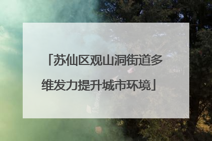苏仙区观山洞街道多维发力提升城市环境