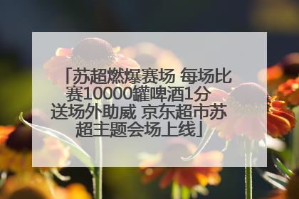 苏超燃爆赛场 每场比赛10000罐啤酒1分送场外助威 京东超市苏超主题会场上线
