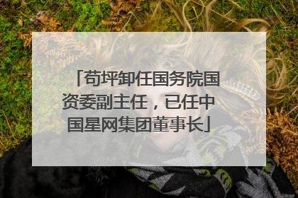 苟坪卸任国务院国资委副主任，已任中国星网集团董事长