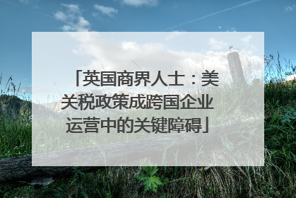 英国商界人士：美关税政策成跨国企业运营中的关键障碍