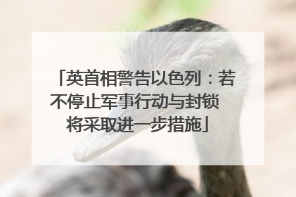 英首相警告以色列：若不停止军事行动与封锁 将采取进一步措施
