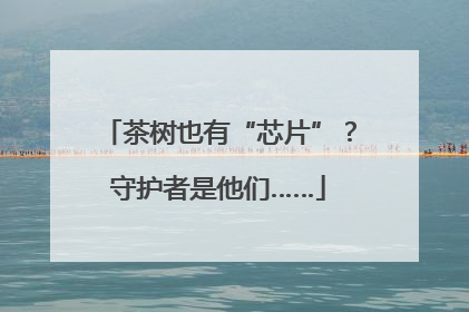 茶树也有“芯片”？守护者是他们……