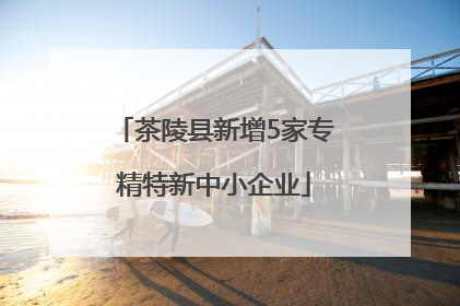 茶陵县新增5家专精特新中小企业