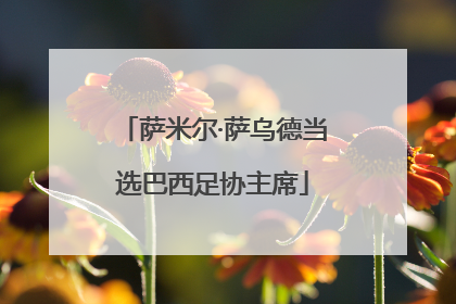 萨米尔·萨乌德当选巴西足协主席