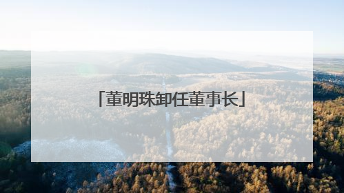 董明珠卸任董事长