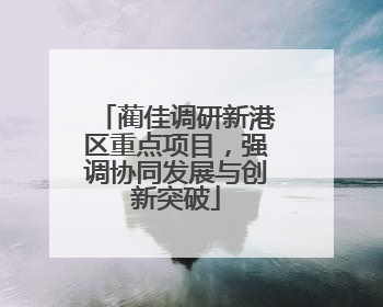 蔺佳调研新港区重点项目，强调协同发展与创新突破