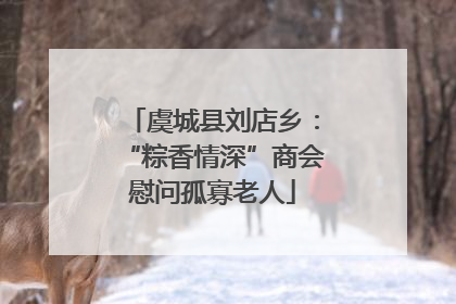 虞城县刘店乡：“粽香情深”商会慰问孤寡老人