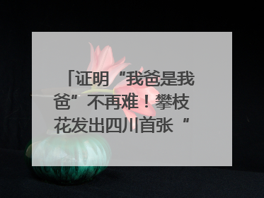 证明“我爸是我爸”不再难！攀枝花发出四川首张“户籍人口直系亲属关系谱”