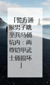 警方通报男子跳至兵马俑坑内：两尊铠甲武士俑损坏