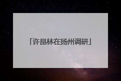 许昆林在扬州调研