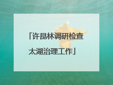许昆林调研检查太湖治理工作