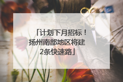 计划下月招标！扬州南部地区将建2条快速路