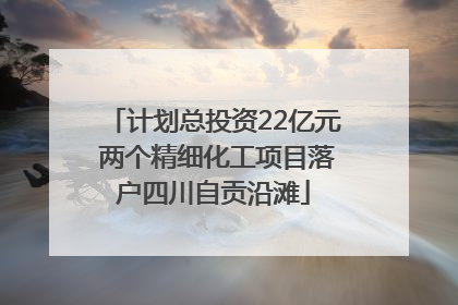 计划总投资22亿元 两个精细化工项目落户四川自贡沿滩
