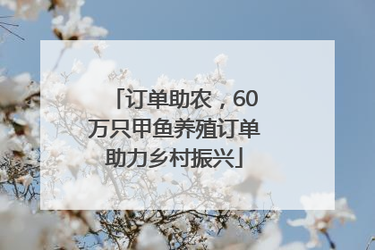 订单助农，60万只甲鱼养殖订单助力乡村振兴