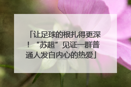 让足球的根扎得更深！“苏超”见证一群普通人发自内心的热爱