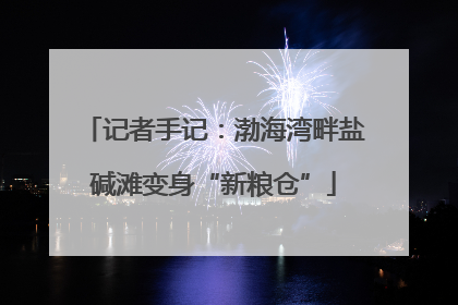 记者手记：渤海湾畔盐碱滩变身“新粮仓”