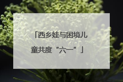 西乡娃与困境儿童共度“六一”