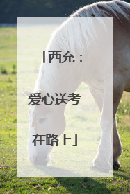 西充：爱心送考在路上