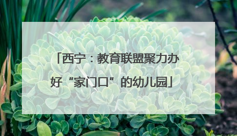 西宁：教育联盟聚力办好“家门口”的幼儿园