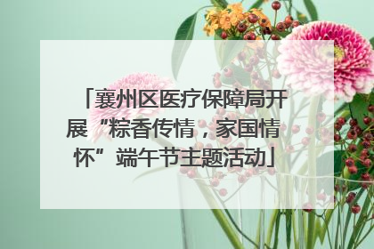 襄州区医疗保障局开展“粽香传情，家国情怀”端午节主题活动