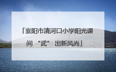 襄阳市清河口小学阳光课间 “武” 出新风尚
