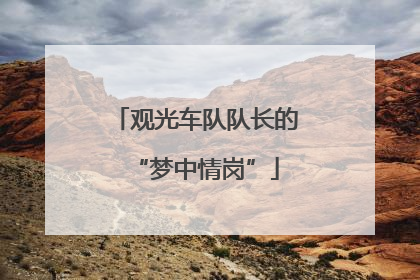 观光车队队长的“梦中情岗”