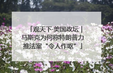 观天下·美国政坛｜马斯克为何称特朗普力推法案“令人作呕”