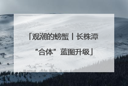 观潮的螃蟹丨长株潭“合体”蓝图升级