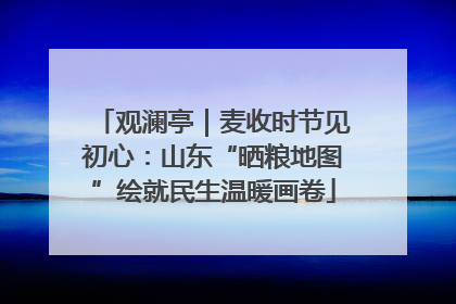 观澜亭｜麦收时节见初心：山东“晒粮地图”绘就民生温暖画卷