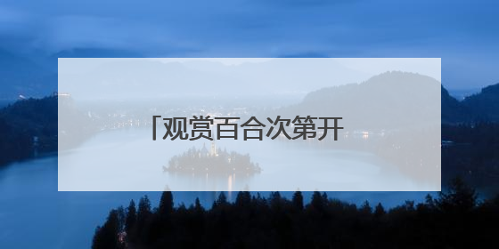 观赏百合次第开 农旅融合新样本 “胜日寻芳·花漾兰州”系列报道之七