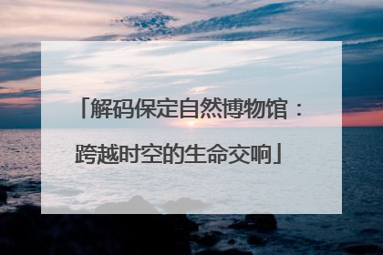 解码保定自然博物馆：跨越时空的生命交响