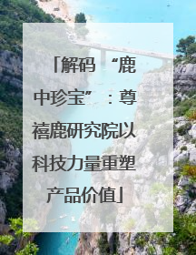 解码 “鹿中珍宝”：尊禧鹿研究院以科技力量重塑产品价值