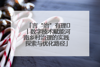 言“治”有理⑪丨数字技术赋能河南乡村治理的实践探索与优化路径