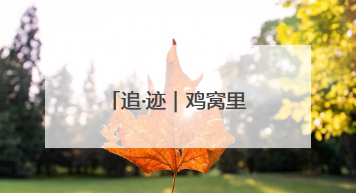 追·迹｜鸡窝里发现明代抱鼓石
