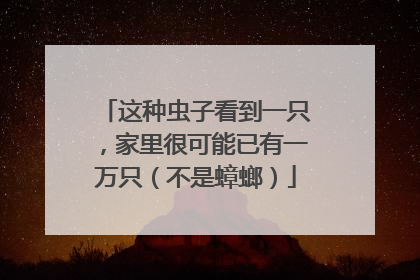 这种虫子看到一只，家里很可能已有一万只（不是蟑螂）