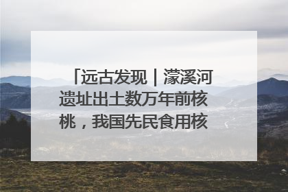 远古发现｜濛溪河遗址出土数万年前核桃，我国先民食用核桃历史大幅提前