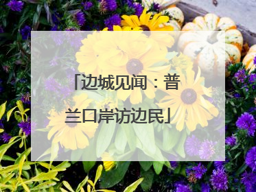 边城见闻：普兰口岸访边民