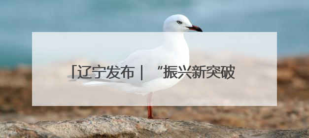 辽宁发布｜“振兴新突破 决胜勇争先”营口市力争上半年GDP增长6%左右
