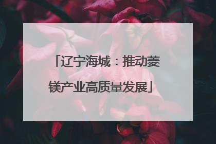 辽宁海城：推动菱镁产业高质量发展