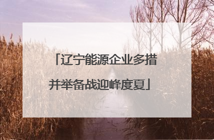 辽宁能源企业多措并举备战迎峰度夏