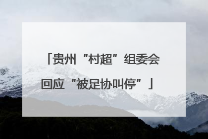 贵州“村超”组委会回应“被足协叫停”