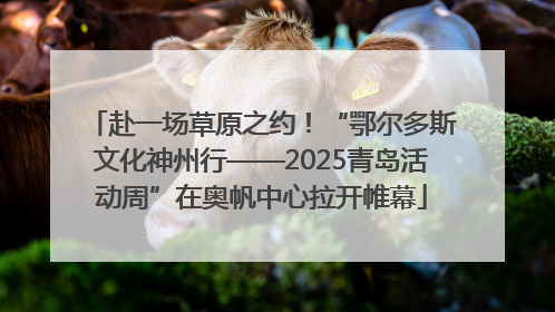 赴一场草原之约！“鄂尔多斯文化神州行——2025青岛活动周”在奥帆中心拉开帷幕