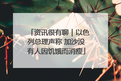 资讯很有聊｜以色列总理声称 加沙没有人因饥饿而消瘦